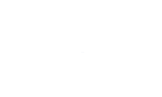 Gaivota Personal P4